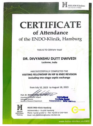 Fellowship in Hip & Knee Revision Surgery – Helios ENDO-Klinik, Hamburg (Germany)
